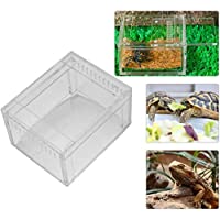 HEEPDD Acrílico Reptil Caja de alimentación Transparente Tipo de Deslizamiento Insecto Caja de visualización para…